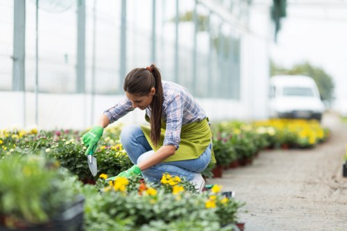 Garden clearance underway with green waste collection