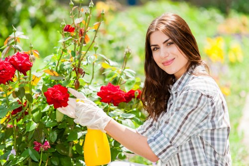 A young woman with long brown hair, dressed in a checkered shirt, is standing in a garden during daytime, carefully pruning bright red roses with her gloved hand. The garden features a well-maintained lawn with dense, green grass in the foreground, bordered by flower beds filled with a variety of colorful flowers and shrubs. Behind her, there are leafy bushes and trees, contributing to a lush, natural outdoor environment typical of a residential garden in the Crystal Palace area. The scene is lit by natural sunlight, creating a vibrant and welcoming atmosphere that highlights the detailed textures of the flowers, leaves, and her clothing. The woman's gentle smile suggests she is engaged in gardening activities such as plant care or shrub trimming, which are common services provided by local gardening specialists like Lawn Mowing Crystal Palace. This detailed, natural depiction emphasizes the importance of outdoor maintenance and garden aesthetics, aligning with professional lawn and garden care in South London.