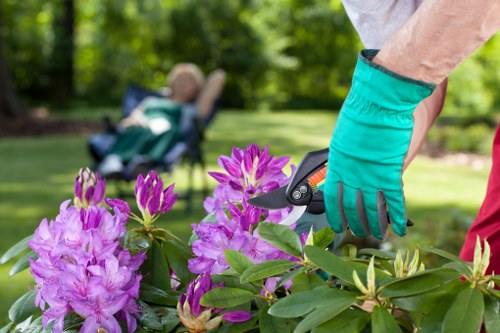 Gardener using hedge trimmers on well-maintained shrubs